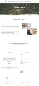 Site internet professionnel praticien géobiologie